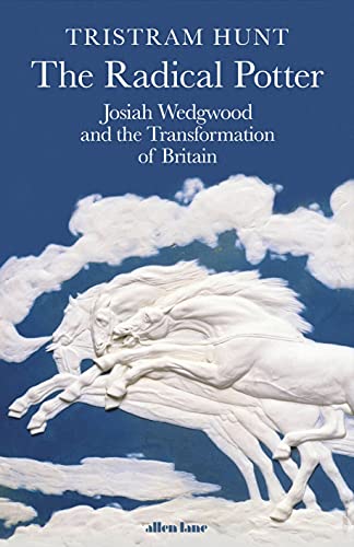 Stock image for The Radical Potter: Josiah Wedgwood and the Transformation of Britain for sale by WorldofBooks