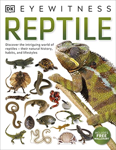 9780241297162: Reptile