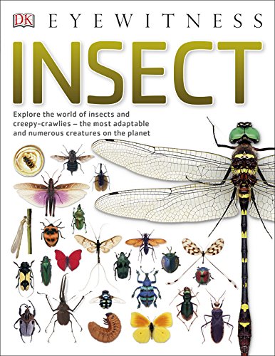 Stock image for Insect for sale by Better World Books Ltd