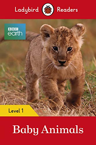 Stock image for Baby Animals for sale by Blackwell's