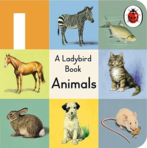 Stock image for Animals for sale by Blackwell's