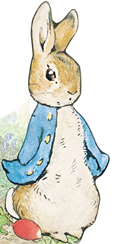 Stock image for All About Peter (Peter Rabbit) for sale by SecondSale