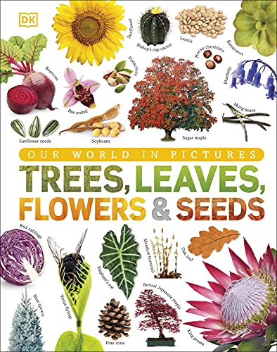 9780241339923: Our World in Pictures: Trees, Leaves, Flowers & Seeds: A visual encyclopedia of the plant kingdom