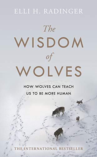 Beispielbild fr The Wisdom of Wolves: How Wolves Can Teach Us To Be More Human zum Verkauf von WorldofBooks