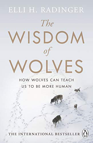 Beispielbild fr The Wisdom of Wolves: How Wolves Can Teach Us To Be More Human zum Verkauf von WorldofBooks