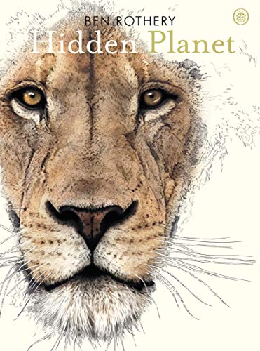 Imagen de archivo de Hidden Planet: An Illustrator's Love Letter to Planet Earth a la venta por WorldofBooks