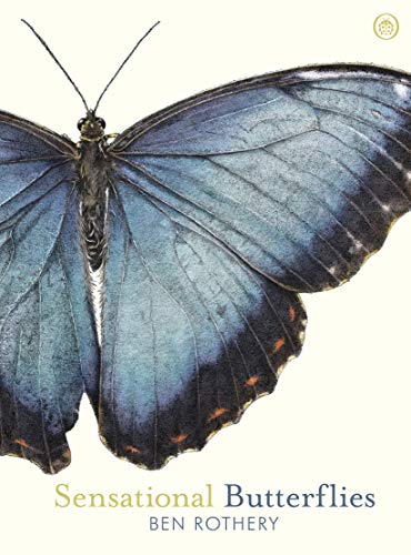 Imagen de archivo de Sensational Butterflies a la venta por WorldofBooks