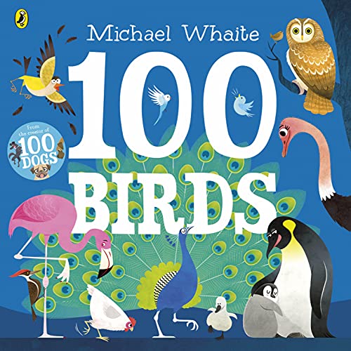 100 birds Cover