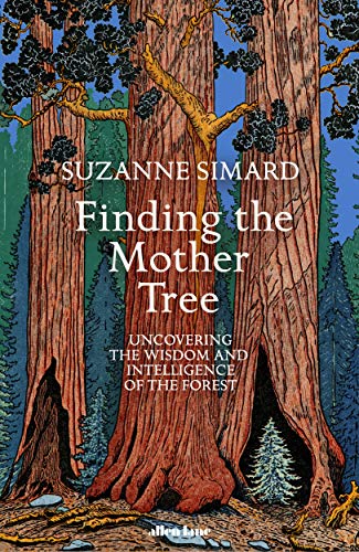 9780241389355: Finding the Mother Tree: Uncovering the Wisdom and Intelligence of the Forest