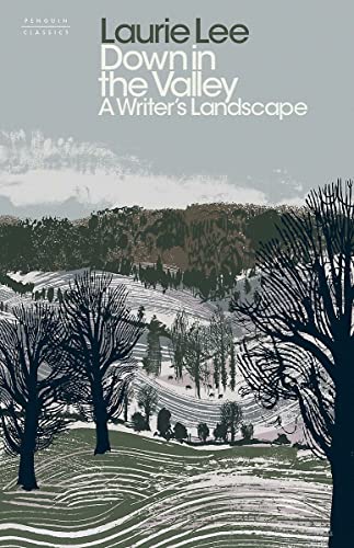 Beispielbild fr Down in the Valley: A Writer's Landscape zum Verkauf von WorldofBooks