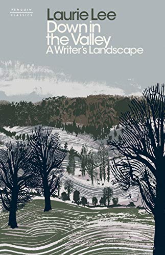 Stock image for Down in the Valley: A Writer's Landscape for sale by Harry Righton
