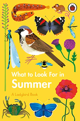 Stock image for What to Look for in Summer for sale by Blackwell's