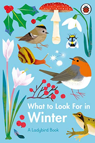 Stock image for What to Look for in Winter for sale by Blackwell's