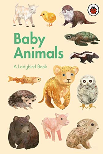 Stock image for A Ladybird Book: Baby Animals for sale by WorldofBooks
