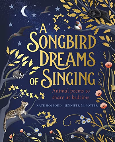 Stock image for A Songbird Dreams of Singing for sale by WorldofBooks