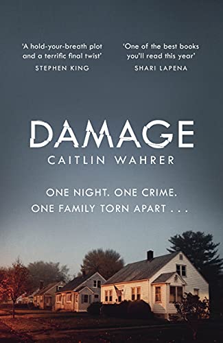Stock image for Damage: An unputdownable and emotionally gripping debut with a twist you wont see coming for sale by WorldofBooks