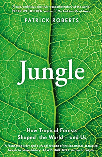 Imagen de archivo de Jungle a la venta por Blackwell's