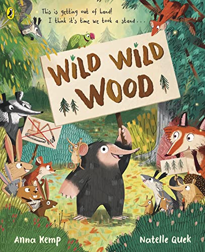 Beispielbild fr The Wild Wild Wood zum Verkauf von WorldofBooks