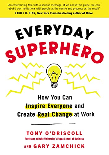 Stock image for Everyday Superhero: How You Can Inspire Everyone And Create Real Change At Work for sale by WorldofBooks