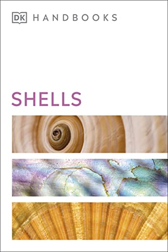 Stock image for Shells (DK Handbooks) for sale by WorldofBooks