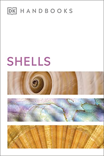 9780241515518: Shells