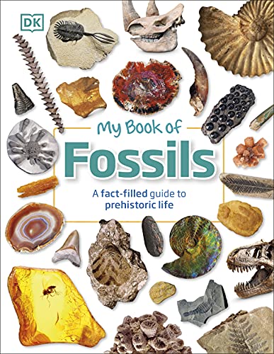 Stock image for My Book of Fossils for sale by Blackwell's