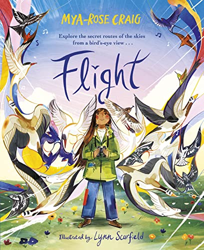 Beispielbild fr Flight: Explore the secret routes of the skies from a bird's-eye view  zum Verkauf von WorldofBooks