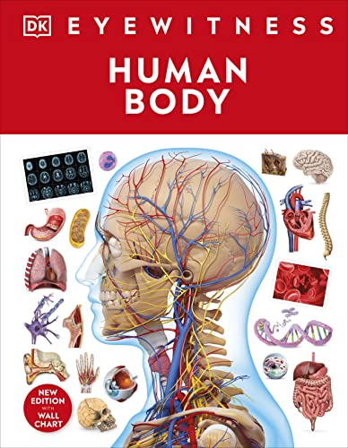 Beispielbild fr Human Body zum Verkauf von Blackwell's