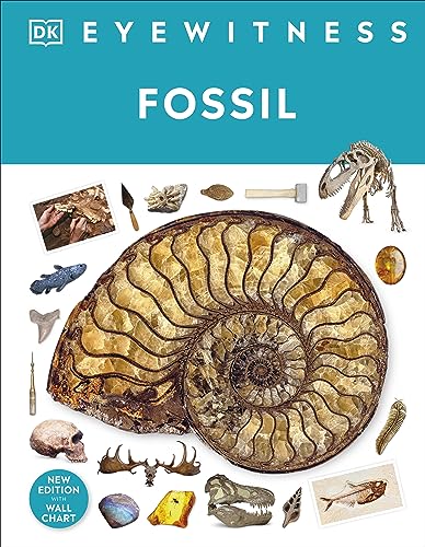 Beispielbild fr Fossil zum Verkauf von Blackwell's