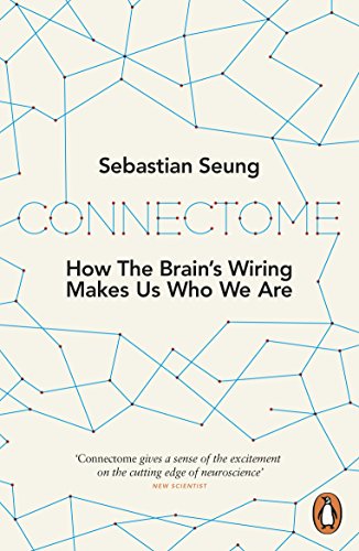 Stock image for Connectome: How the Brain's Wiring Makes Us Who We Are for sale by WorldofBooks