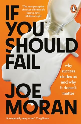 Imagen de archivo de If You Should Fail: Why Success Eludes Us and Why It Doesn  t Matter a la venta por WorldofBooks