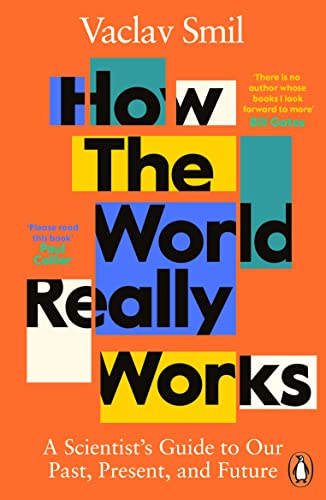 Beispielbild fr How the World Really Works: A Scientist  s Guide to Our Past, Present and Future zum Verkauf von AwesomeBooks