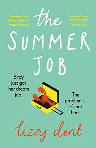 Stock image for The Summer Job: A hilarious story about a lie that gets out of hand  " soon to be a TV series for sale by WorldofBooks