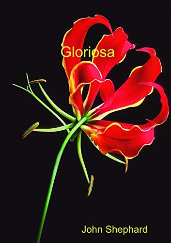 9780244046545: Gloriosa