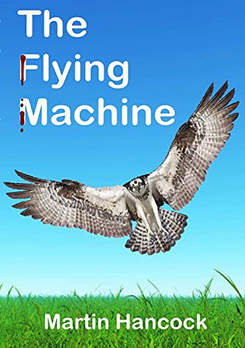 Stock image for The Flying Machine for sale by Lucky's Textbooks