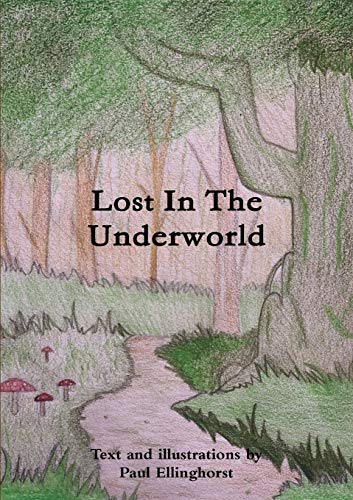 Imagen de archivo de Lost In The Underworld a la venta por Chiron Media