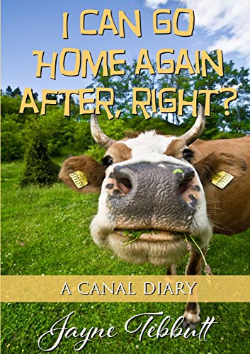 Stock image for I Can Go Home Again After, Right? for sale by WorldofBooks