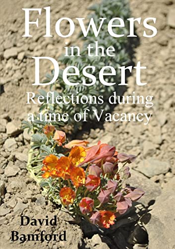 9780244454784: Flowers in the Desert: Reflections during a time of Vacancy