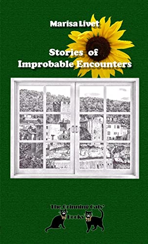Immagine stock per Stories of Improbable Encounters