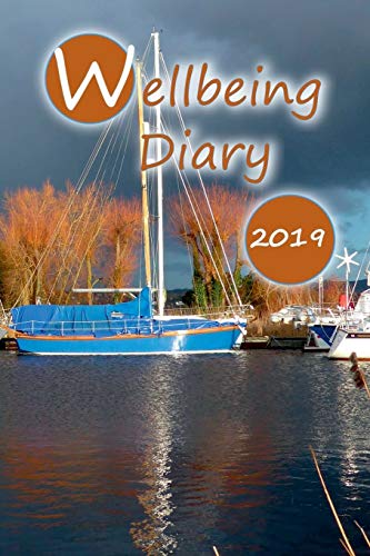 Beispielbild fr Wellbeing Diary 2019 zum Verkauf von Chiron Media