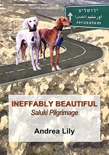 Imagen de archivo de Ineffably Beautiful: Saluki Pilgrimage a la venta por Lucky's Textbooks