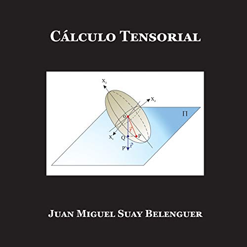 ALGEBRA Y CALCULO TENSORIAL: Pastor Pérez, Manuel;Martín Stickle, Miguel:  9788416228119: Books 