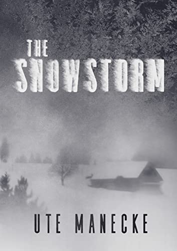 Beispielbild fr The Snowstorm zum Verkauf von AwesomeBooks