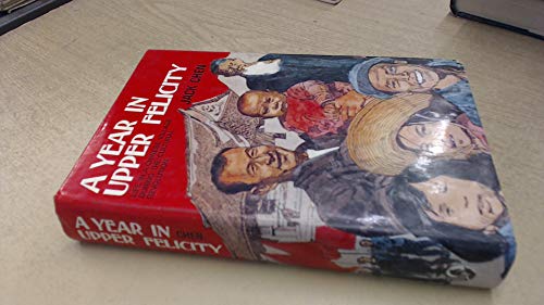 A Year in Upper Felicity : Life in a Chinese Village During the Cultural Revolution