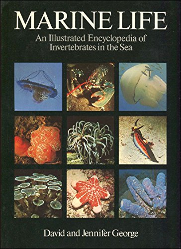 Stock image for Marine Life: Illustrated Encyclopaedia of Invertebrates in the Sea for sale by WorldofBooks