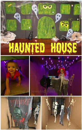 The Haunted House (Fotofun) (9780246126740) by Manley, Deborah; Robertson, Alan