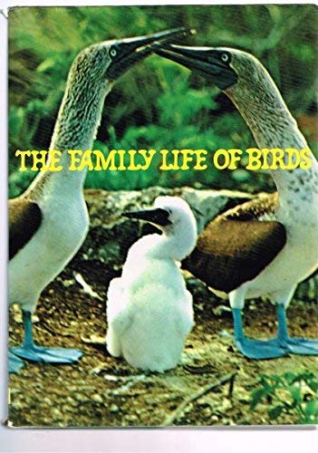 Stock image for Family Life of Birds for sale by ThriftBooks-Atlanta