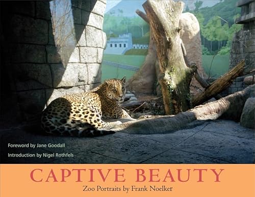 Stock image for Captive Beauty for sale by HPB-Red