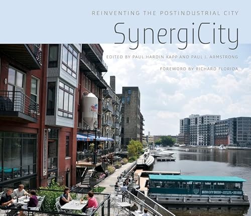 Imagen de archivo de SynergiCity: Reinventing the Postindustrial City a la venta por HPB-Red