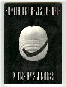 9780252061813: Something Grazes Our Hair: Poems